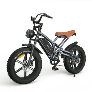 Arnahaishe 20" 4.0 Fat Tire Electric Bike for Adults, 750W Adults E Bike, 48V 14Ah Removable Li-Ion Battery, Professional 7-Speed, Electric Mountain Bicycle Beach Bike Snow Bike Ebike for Men