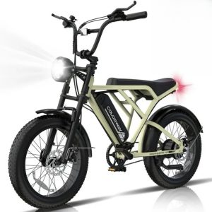 COLORWAY 750W Electric Bike for Adults,20X4.0 Fat Tire Off-Road E bike,36V/12Ah Battery Snow Beach Mountain Bike for Outdoor Cycling e bike