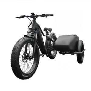 Electric tricycle OUKA-PNR03