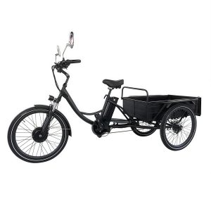 Electric tricycle  Cemoto-CEM-ET01C