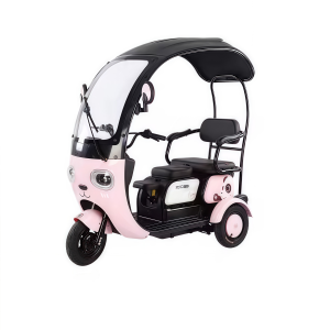 Electric tricycle CHENLU-X6