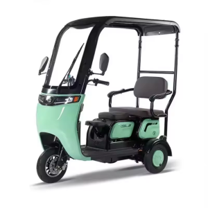 Electric tricycle CHENLU-X4
