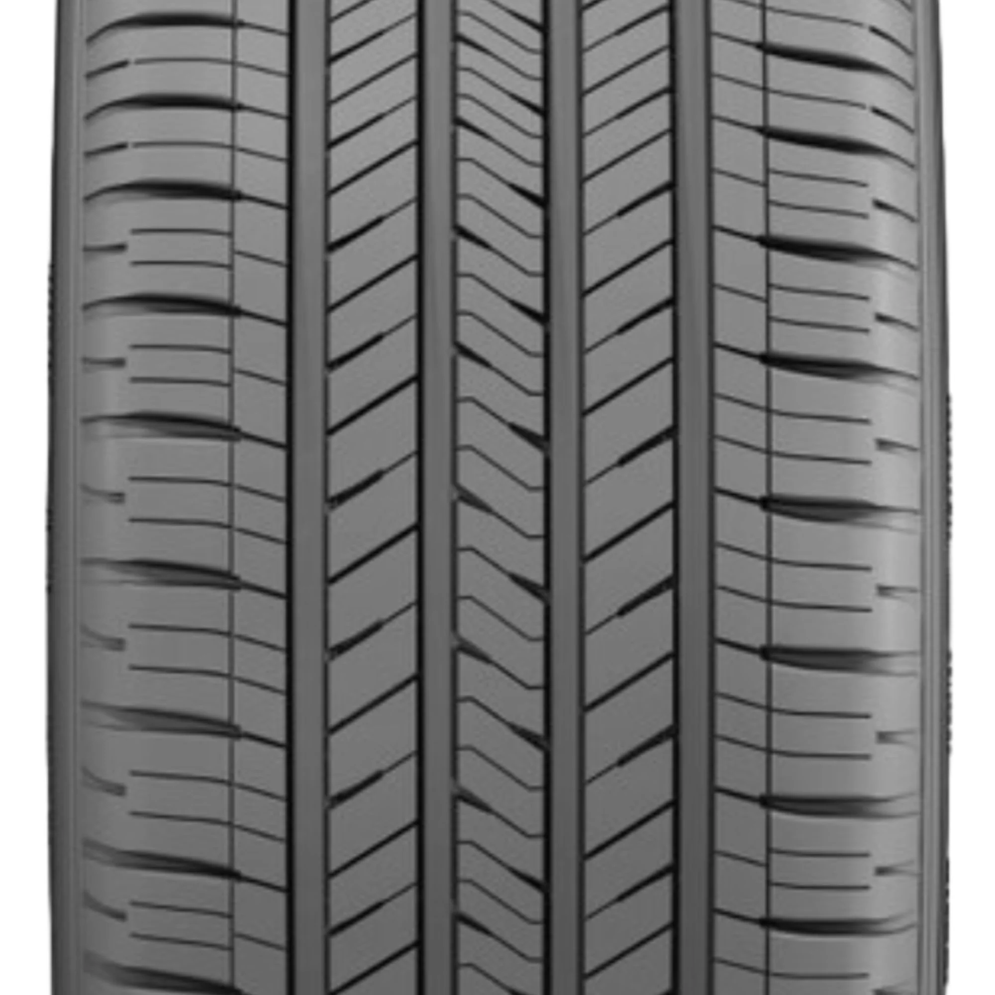f460db00a0f467d8ff990cda2e1b337af83d7d3f2ee1440cfe9c53d7cd076e20.webp